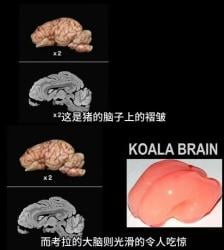 45 KB