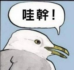 55 KB