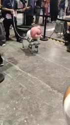 3021 KB