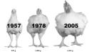 146 KB