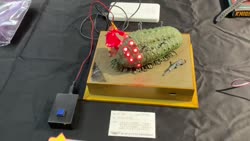 2842 KB