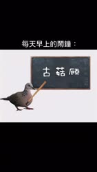 387 KB