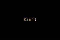 4779 KB